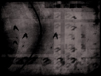 2-21
