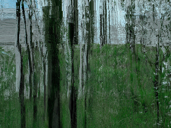 IMG_4881