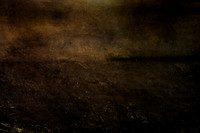 untitled shoot--2