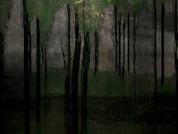 231116-3-8