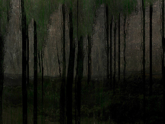 231116-3-11