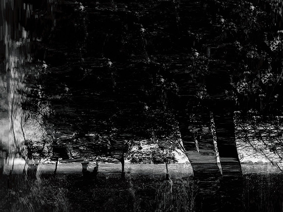 261016-1-5