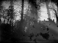 05-21