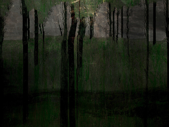 231116-3-1