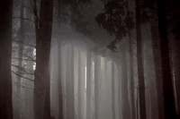 2012-10-21-75