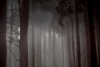 2012-10-21-75-2