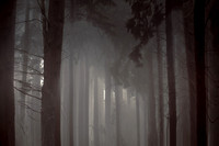 2012-10-21-75-5