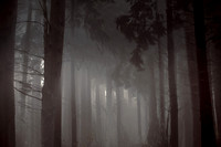 2012-10-21-75-3