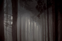 2012-10-21-75-6