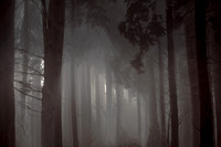 2012-10-21-75-4