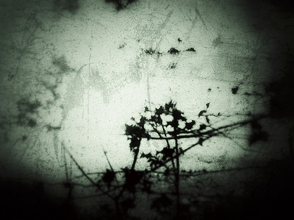 05-21