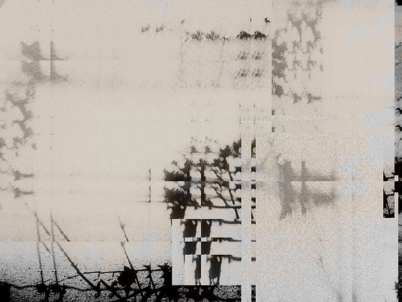 05-29