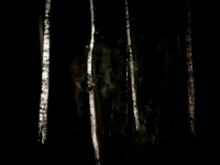 v2-250515-95