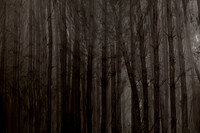 chrisfriel-2-3