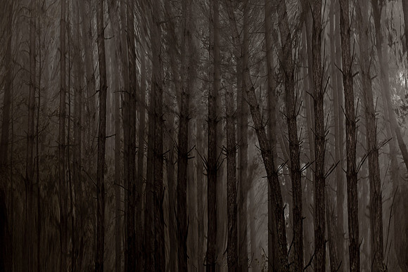 chrisfriel-2-3