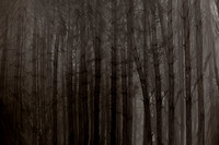 chrisfriel-2-2