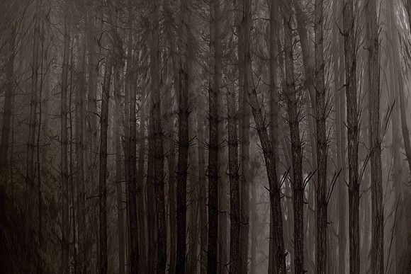 chrisfriel-2-2