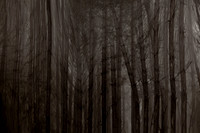 chrisfriel-2-5