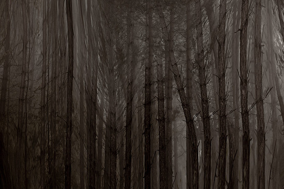 chrisfriel-2-5