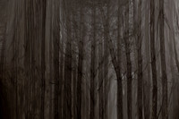 chrisfriel-2-4