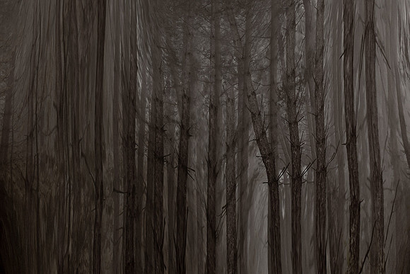 chrisfriel-2-4