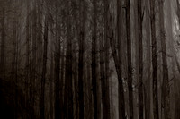 chrisfriel-2