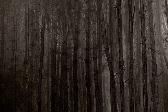 chrisfriel-2