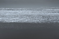 290114 #280