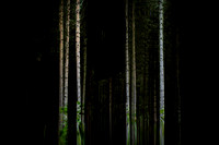 2013-09-26-503-5
