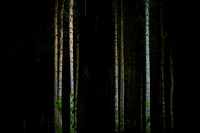 2013-09-26-503-4