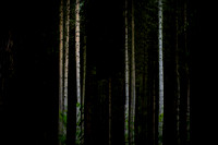 2013-09-26-503-3