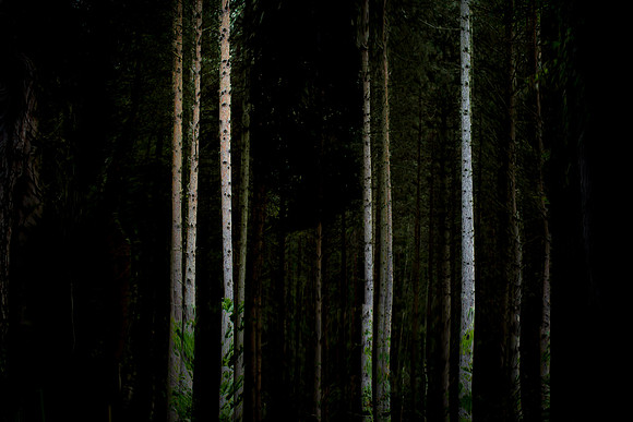 2013-09-26-503-3