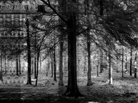 13-23