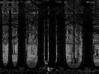 13-11