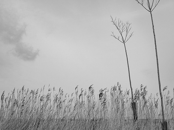 240316-2-3