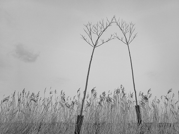 240316-2-6