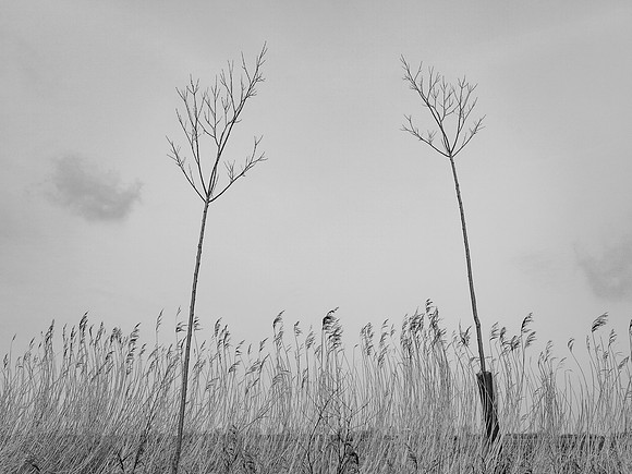 240316-2-9