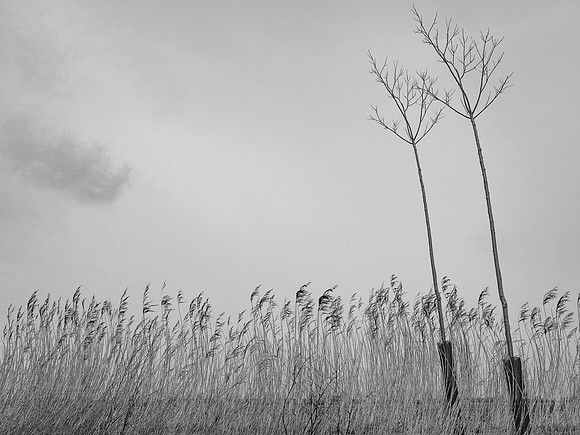240316-2-1