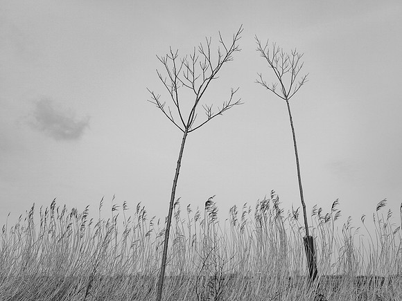 240316-2-11