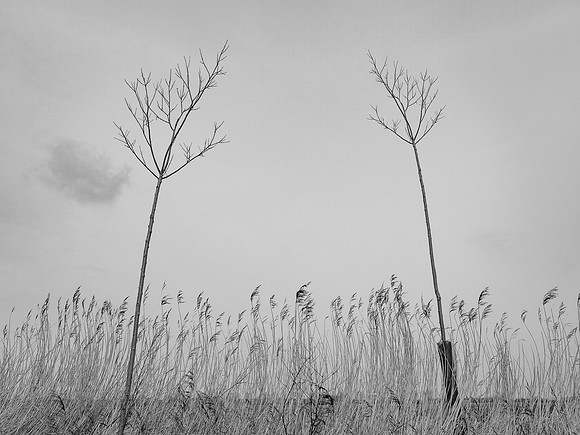 240316-2-8