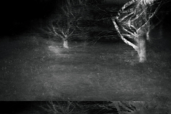 170316-4-26