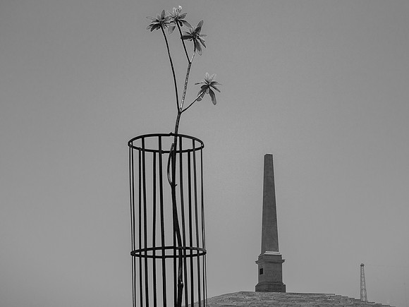 280615-766