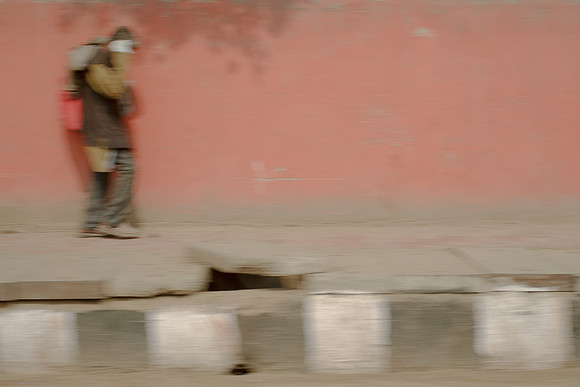 delhi #884