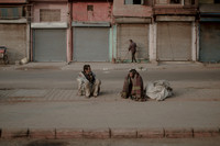 delhi #1047