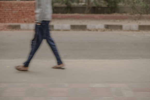 delhi #1255