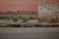 delhi #1071