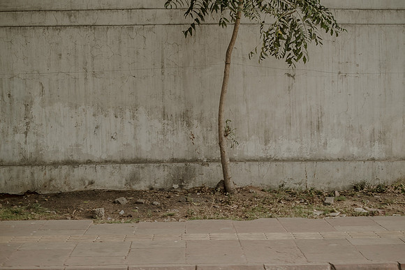 delhi #862