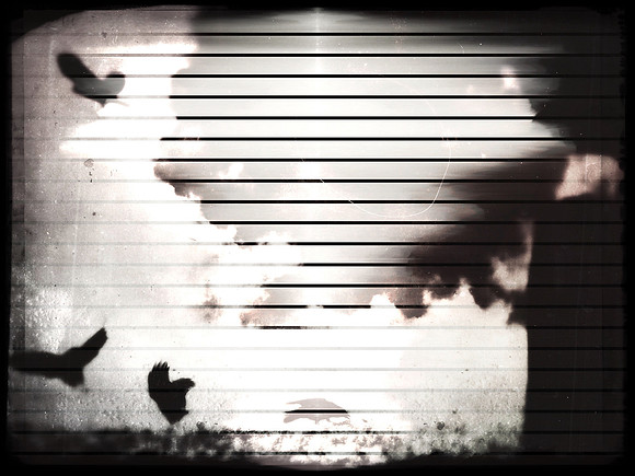 36-43