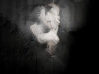 210317-2-16