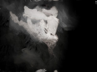 210317-2-9